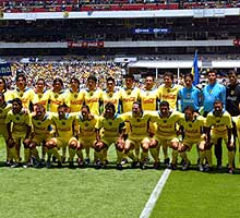 plantel-29_N.jpg